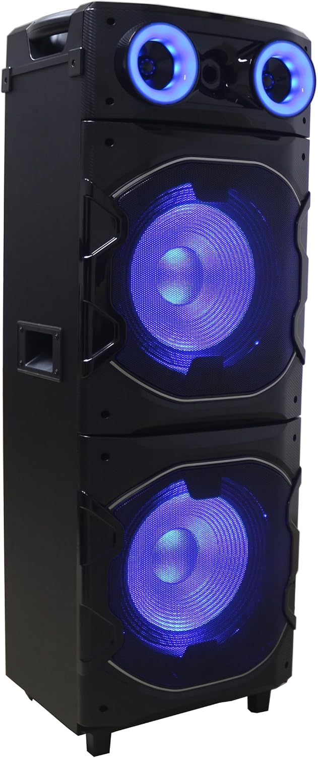 BOXEN REFLEXION PS25BT Party Lautsprecher